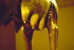 She-Wolf, bronze, 500-480 BCE
