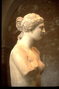 Aphrodite of Melos (Venus di Milo): detail - head in profile -ca. 150-100 B.C.  marble