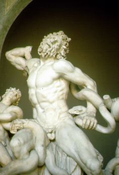  The Laocöon Group (Rome, Vatican Museums)